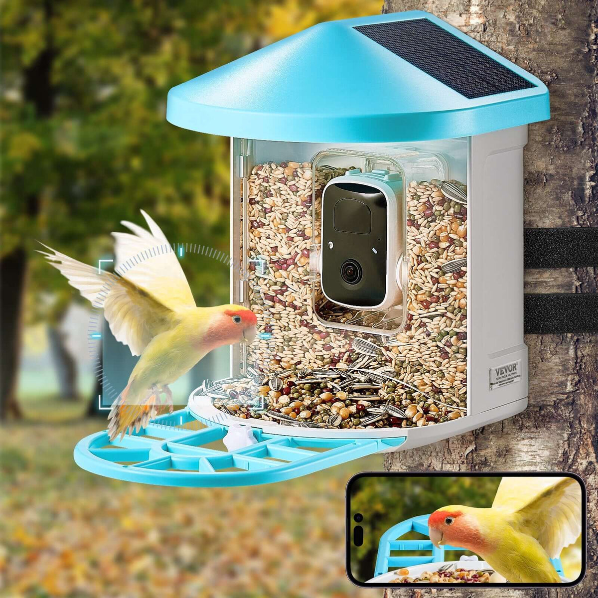 solar powered smart bird feeder with camera in multicolor showing 2K camera and bird visiting feeder