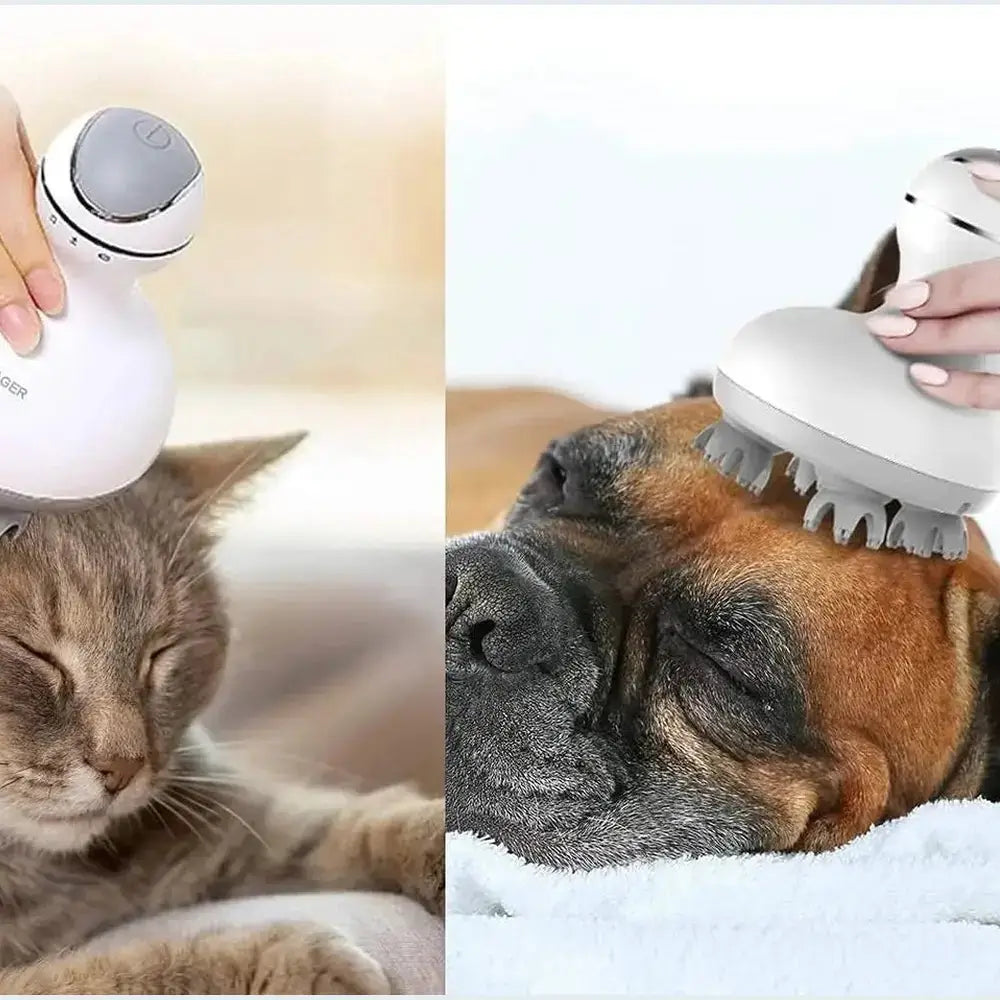Waterproof electric scalp massager gently soothes pets, promoting relaxation in cats and dogs with its 4 rotating massage heads.