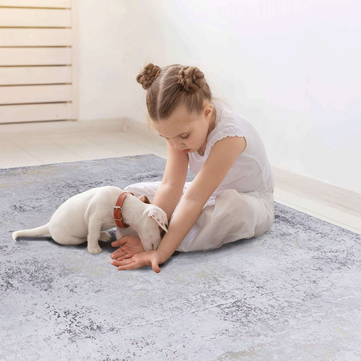 Luna Select Market washable gray abstract area rug with a young girl and a puppy sitting on it in a bright room.