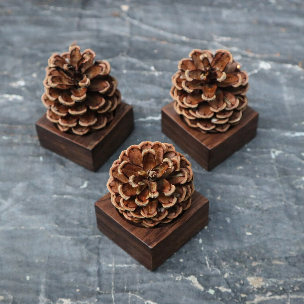 Uncommon wooden essential oil diffuser with pinecones on walnut wood bases, no water or plug needed