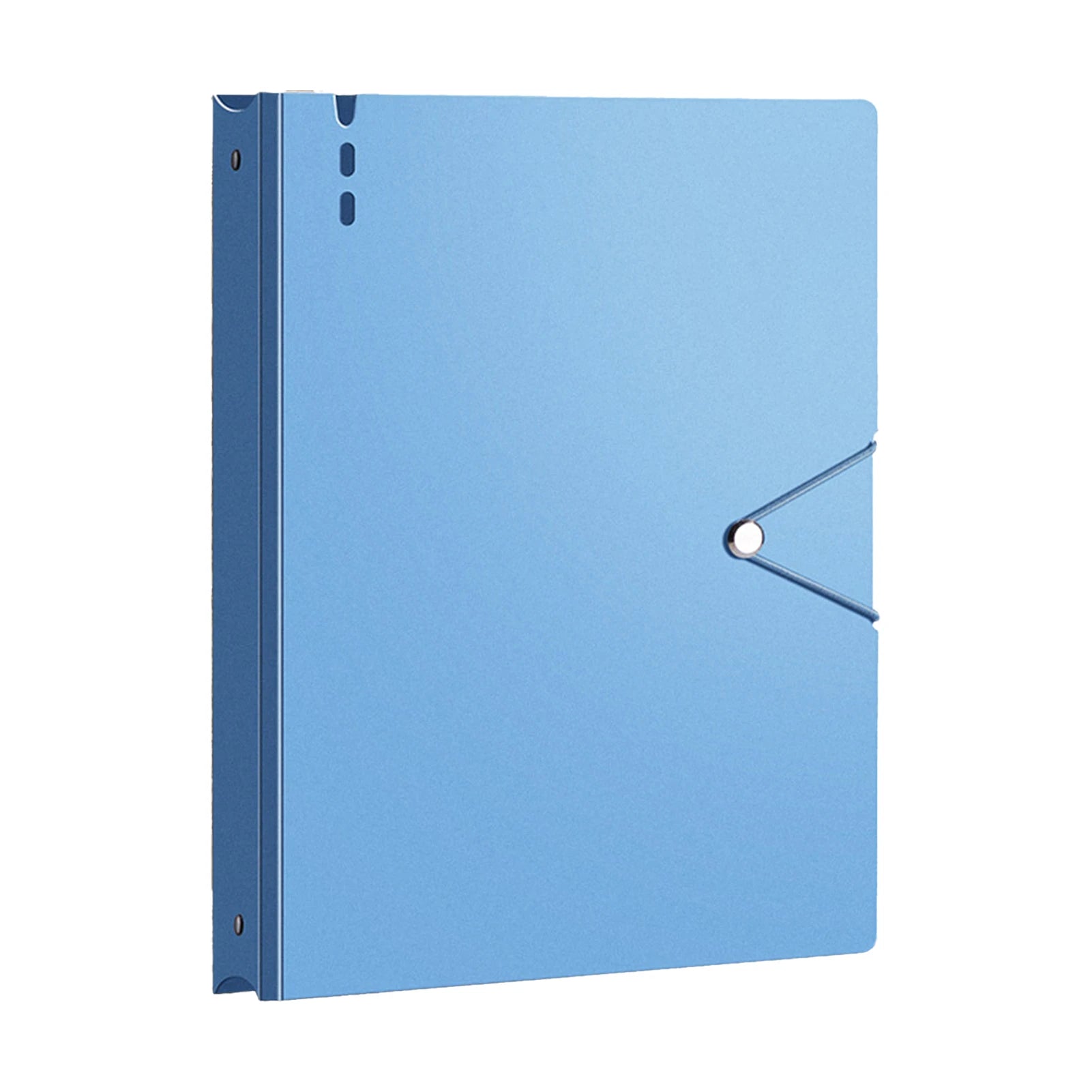 Family Document Organizer — 12-Pocket Clear File Folder