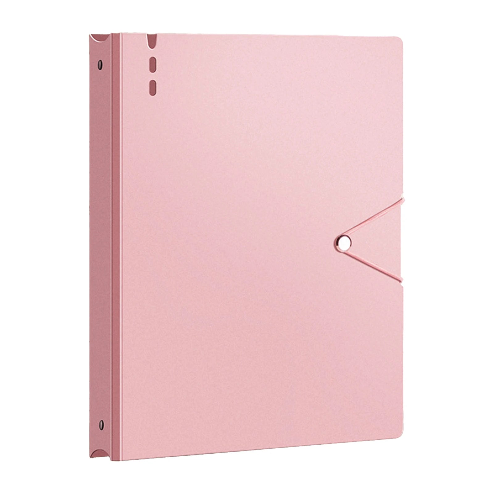 Family Document Organizer — 12-Pocket Clear File Folder