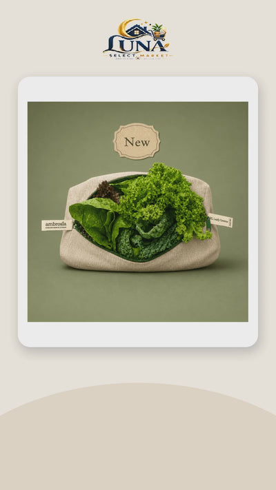 Ambrosia XL Leafy Greens Storage Bag – product video