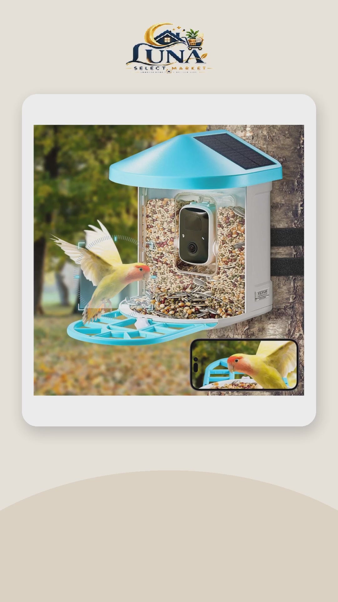 Solar-Powered Smart Bird Feeder – product video
