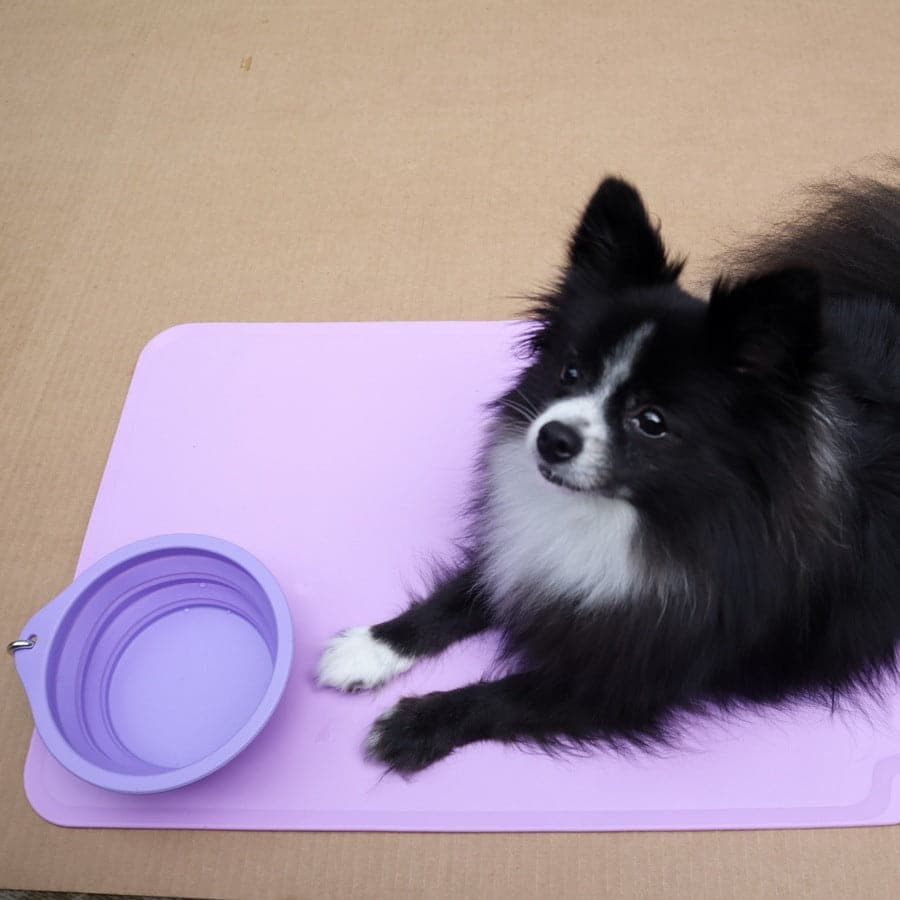 Silicone licking mat with suction base for anxiety relief and slow feeding.